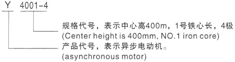 西安泰富西玛Y系列(H355-1000)高压Y6304-10/1400KW三相异步电机型号说明